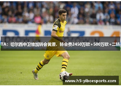 TA：切尔西中卫维加转会黄潜，转会费2450万欧+500万欧+二转